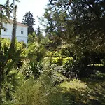 Fabianics Kastely