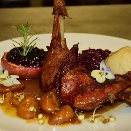 Fabianics Kastely Отель типа 