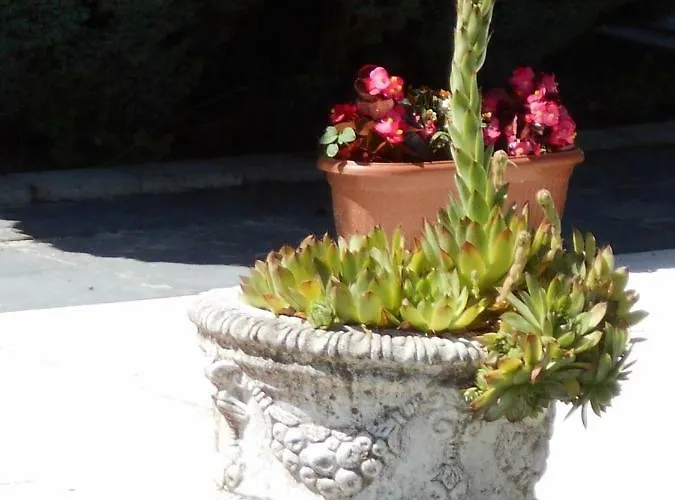 Fábiánics Kastély Misefa